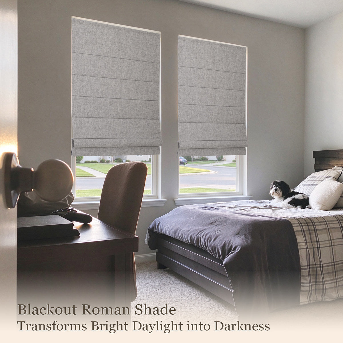 Single-Layer Blackout Roman Shades, Cordless Privacy Window Shades,  Silver Mist